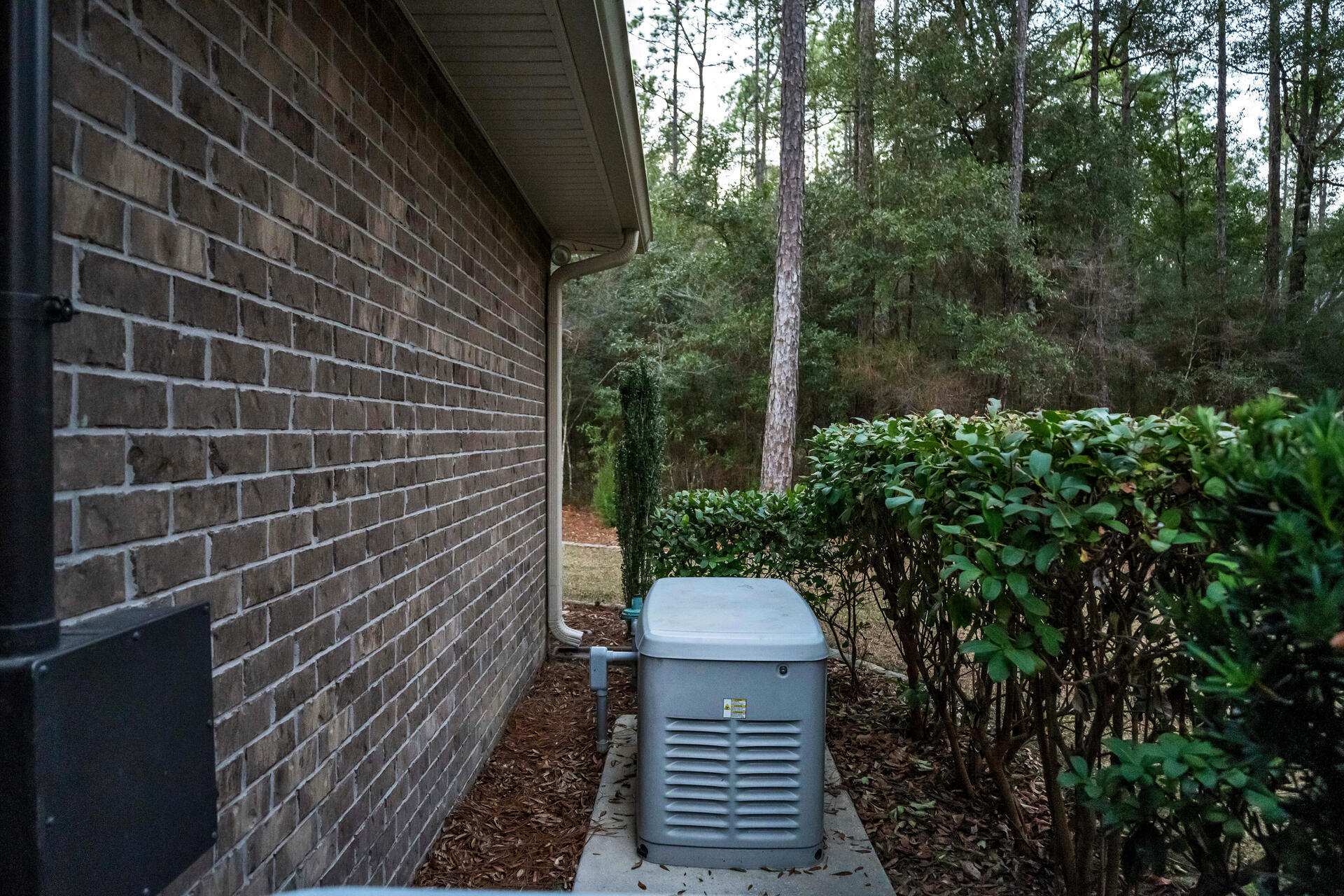 5501 Buckward Road Baker, FL 32531 - Photo 52 of 59 a view of a house with a plants