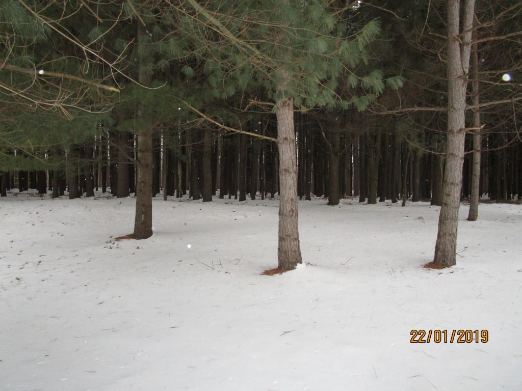 2800 South Wise Road Mount Pleasant, MI 48858 - Photo 26 of 29 1856645-25.JPG