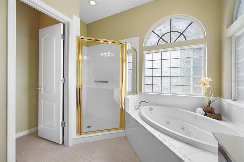 11421 Strathaven Court Trinity, FL 34655 - Photo 38 of 91 Gallery Image 38
