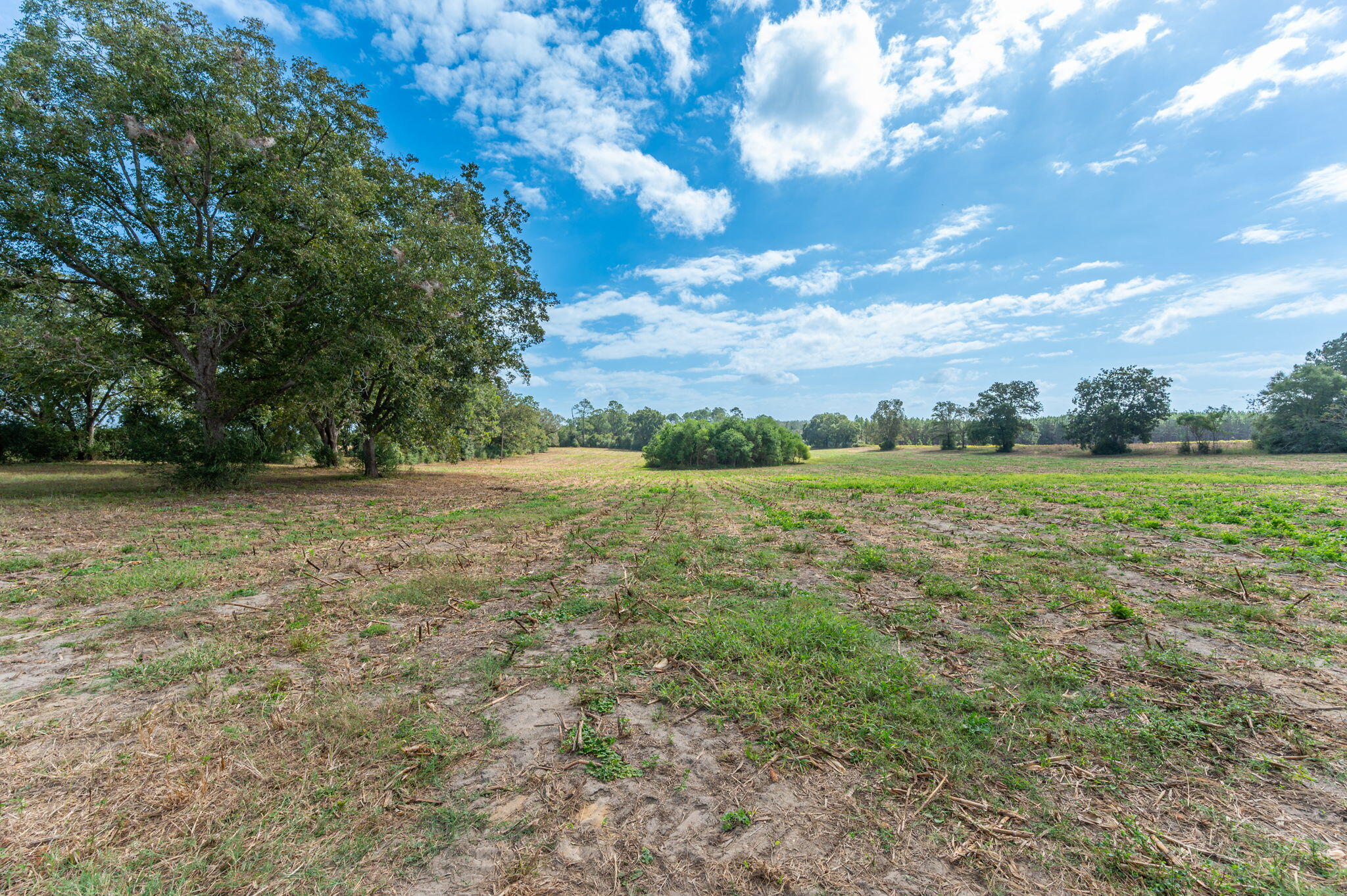 3-acre -c Prescott Road Florala, AL 36442 - Photo 9 of 36 a view of outdoor space with mountain view