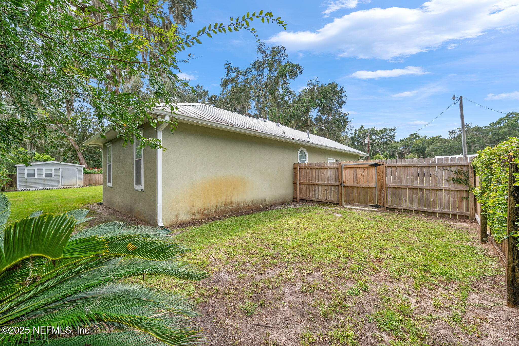 129 Linden Road St. Augustine, FL 32086 - Photo 39 of 56 a view of a backyard with a tree