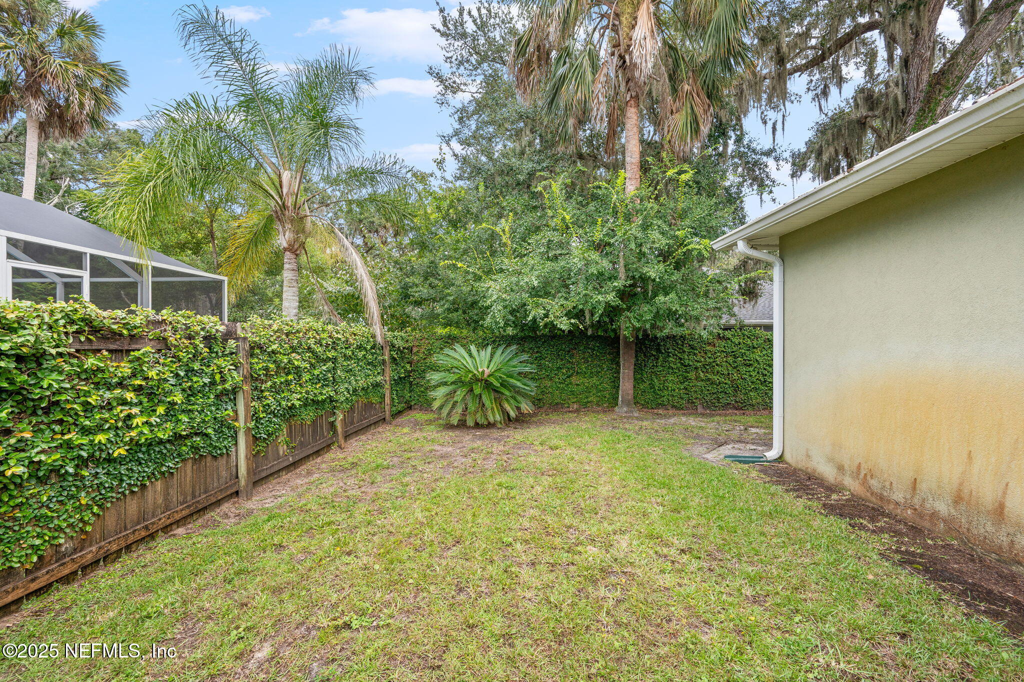 129 Linden Road St. Augustine, FL 32086 - Photo 41 of 56 a view of a backyard with plants