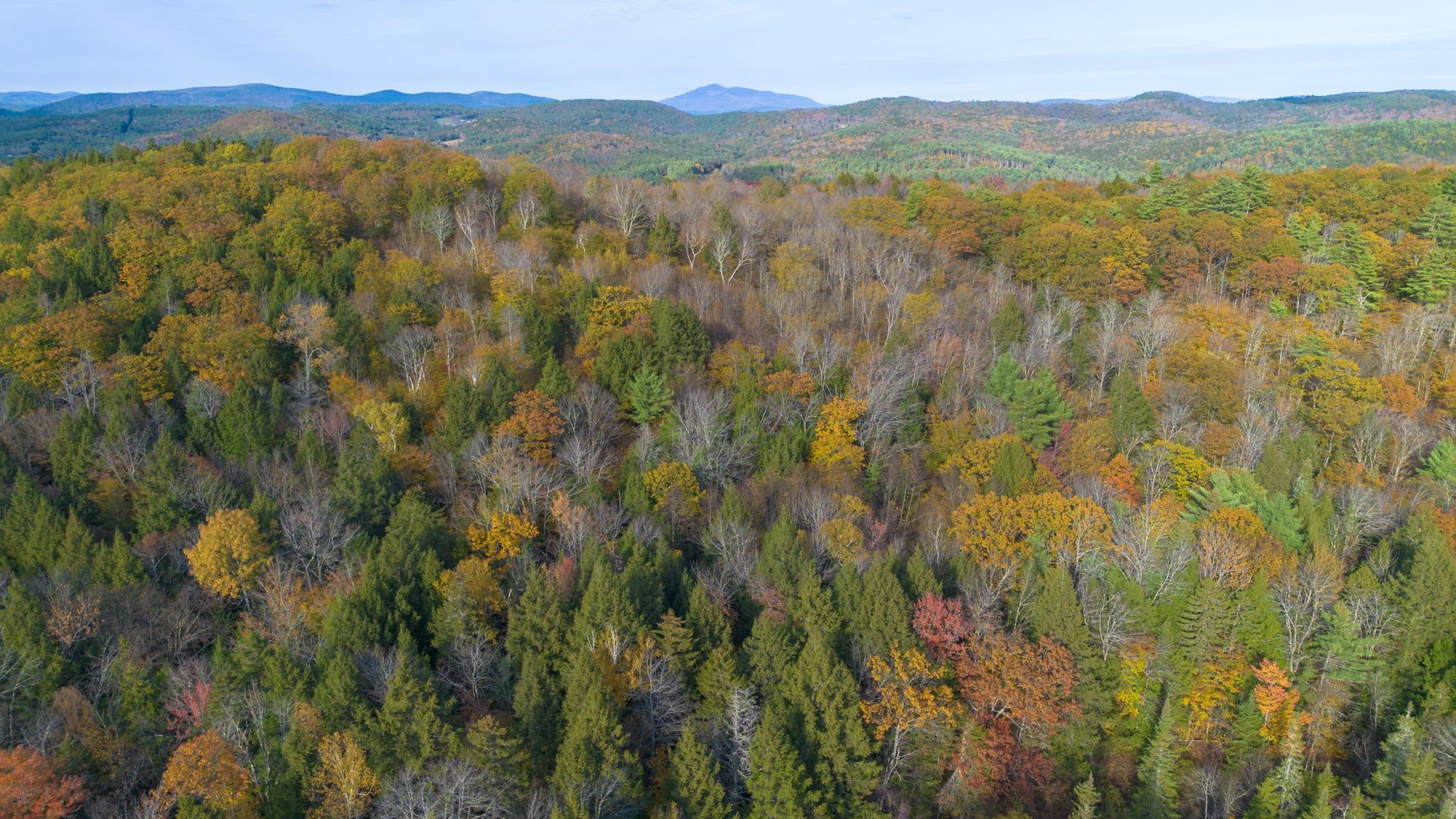 1175 Quarry Road Chester, VT 05143 - Photo 3 of 22