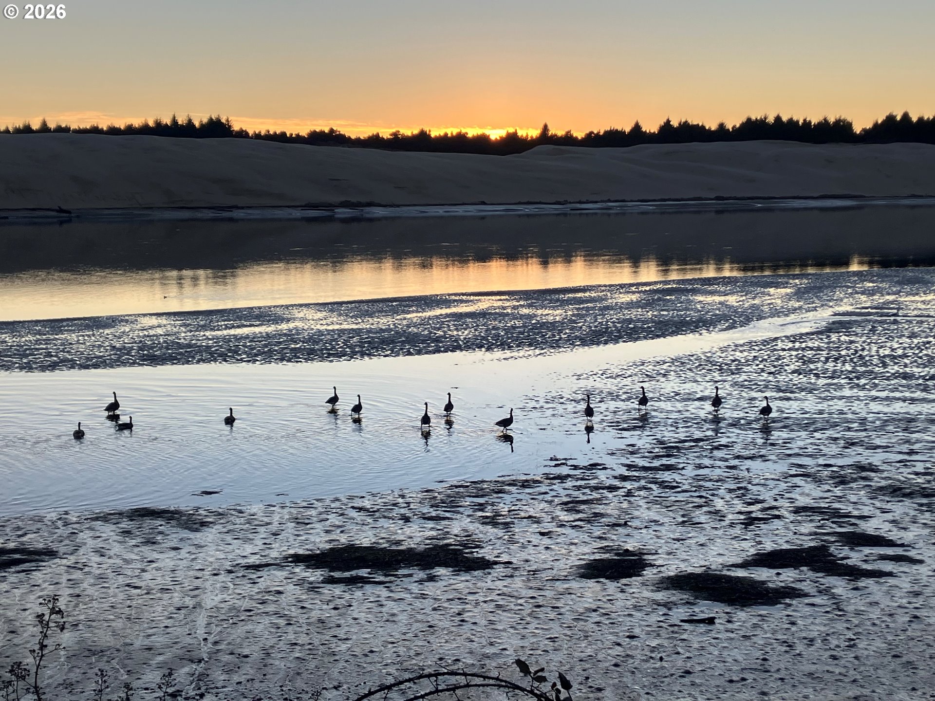 1070 Bay Street, Unit 22 Florence, OR 97439 - Photo 21 of 25