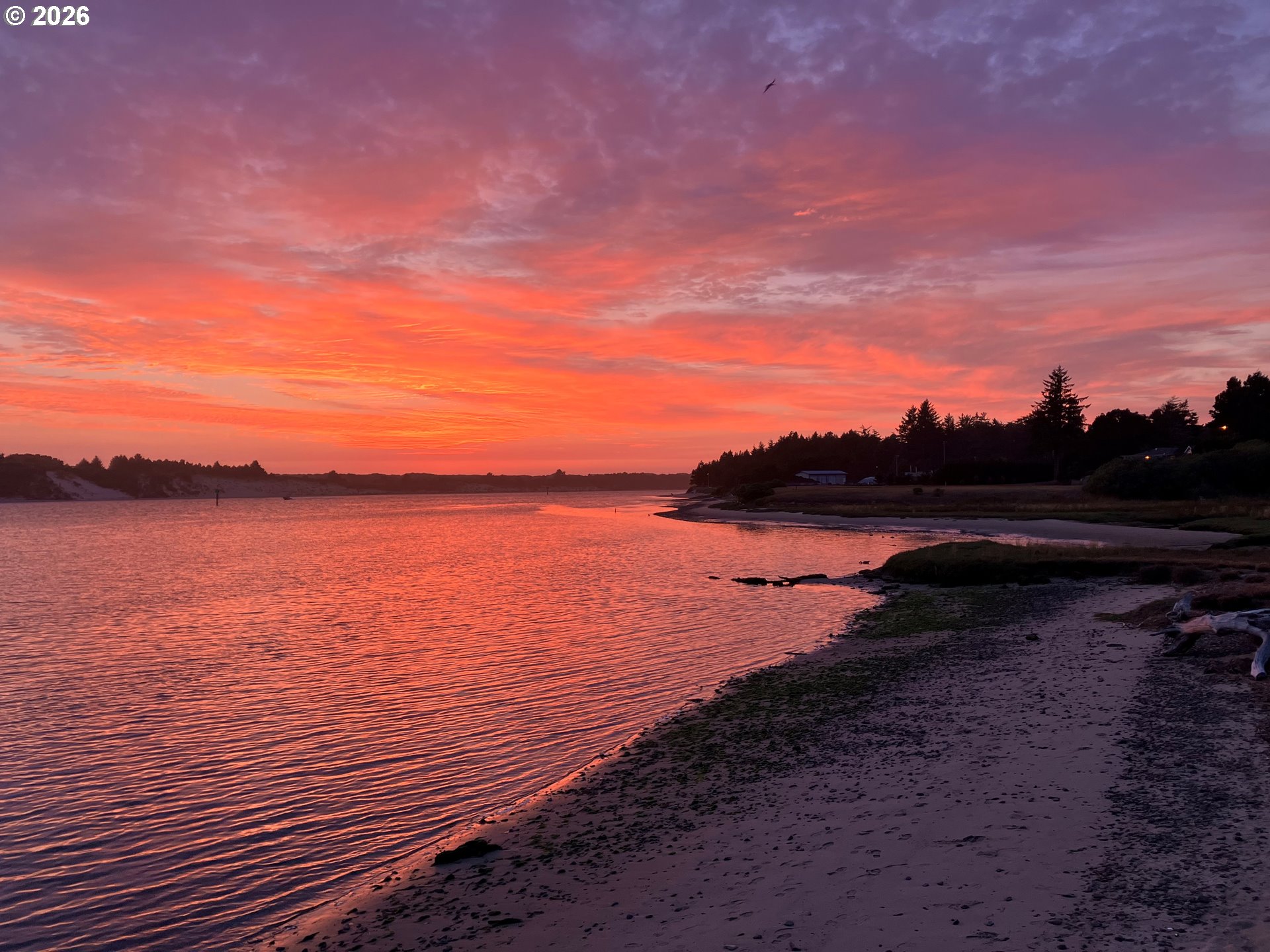 1070 Bay Street, Unit 22 Florence, OR 97439 - Photo 25 of 25
