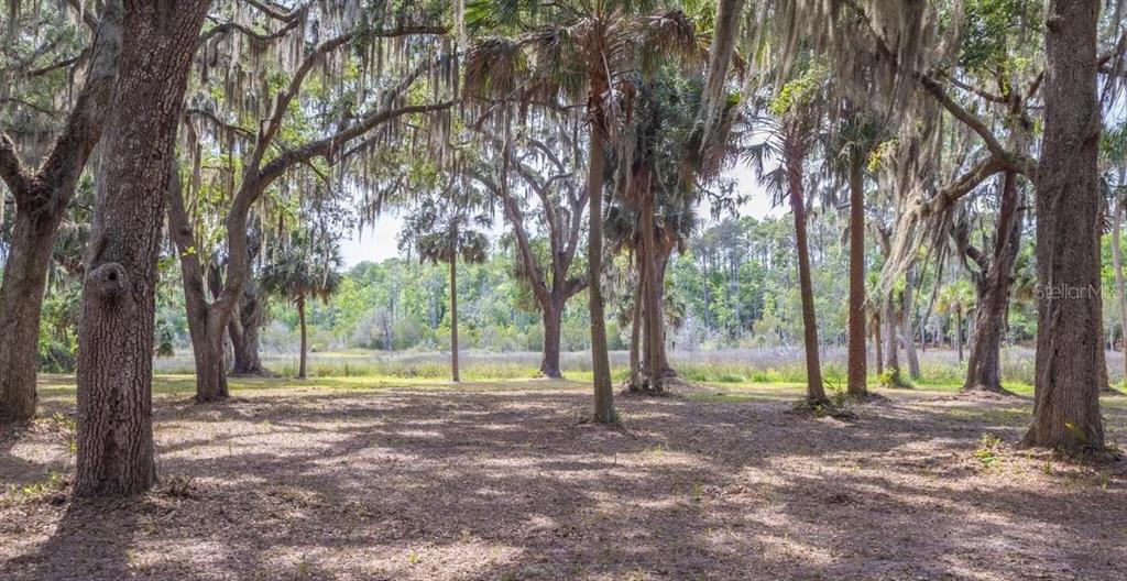 7149 Fitzpatrick Lane Jacksonville, FL 32226 - Photo 11 of 69