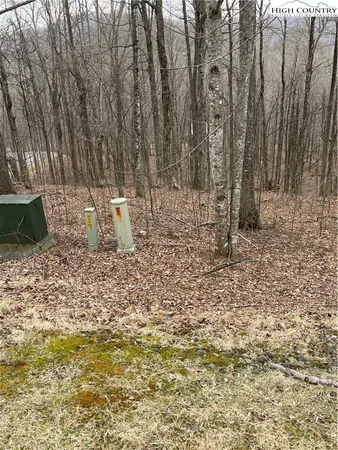 a view of a backyard of the house