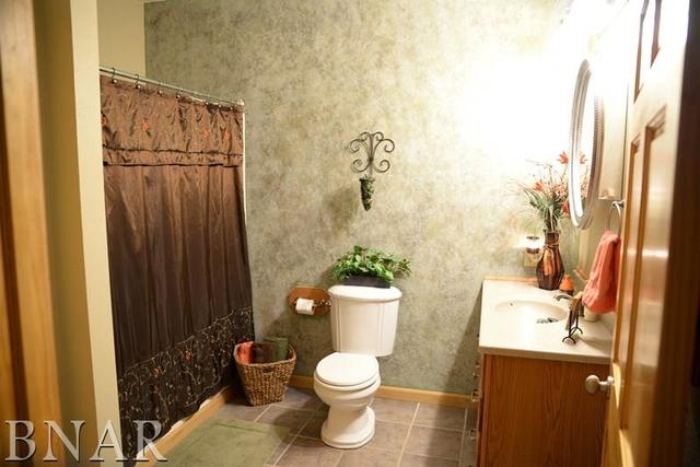 15566 Field Road Dewitt, IL 61735 - Photo 12 of 30