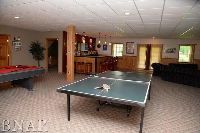15566 Field Road Dewitt, IL 61735 - Photo 16 of 30