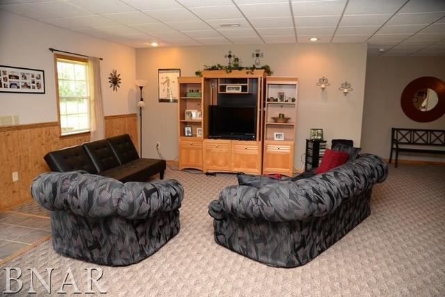 15566 Field Road Dewitt, IL 61735 - Photo 21 of 30