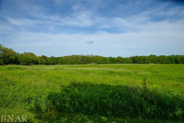 15566 Field Road Dewitt, IL 61735 - Photo 27 of 30
