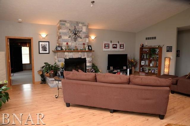 15566 Field Road Dewitt, IL 61735 - Photo 4 of 30
