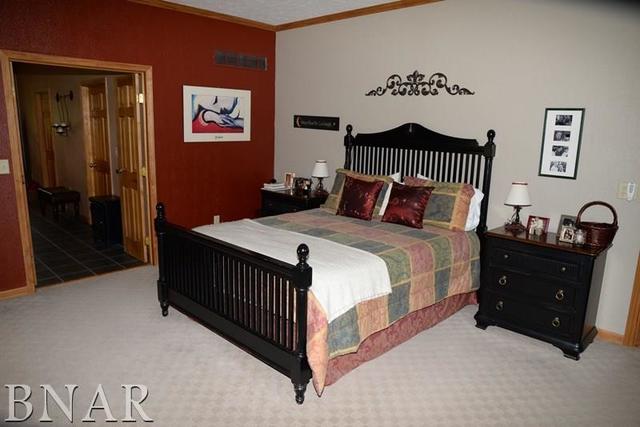 15566 Field Road Dewitt, IL 61735 - Photo 8 of 30