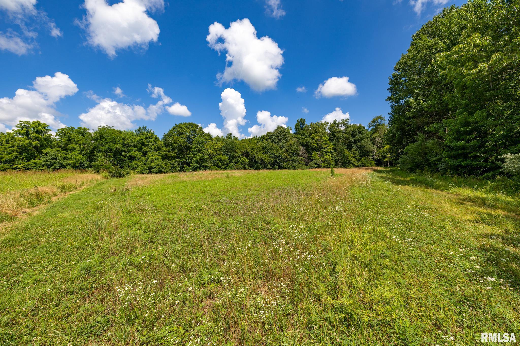 1770 Aldridge Road Cobden, IL 62920 - Photo 56 of 71