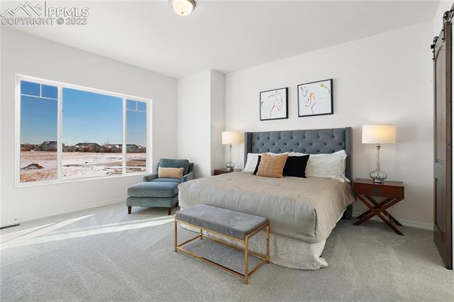 1495 Bowstring Road Monument, CO 80132 - Photo 9 of 25