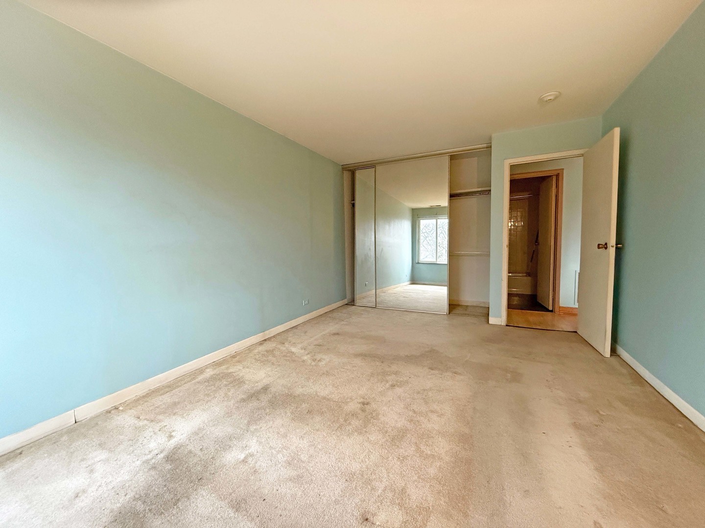 425 Walnut Creek Road, Unit 1310 Lisle, IL 60532 - Photo 13 of 19 Gallery Image 13