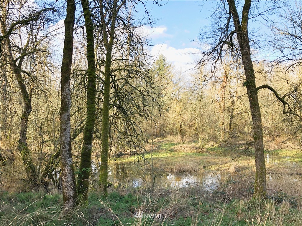 17848 Scatter Lane Southwest Rochester, WA 98579 - Photo 14 of 19