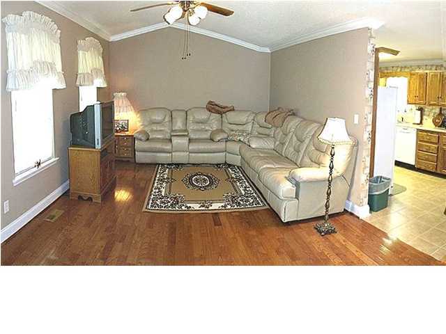 7455 Igou Ferry Road Harrison, TN 37341 - Photo 4 of 10 Additional Photo