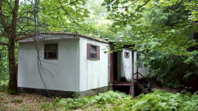 Main View
