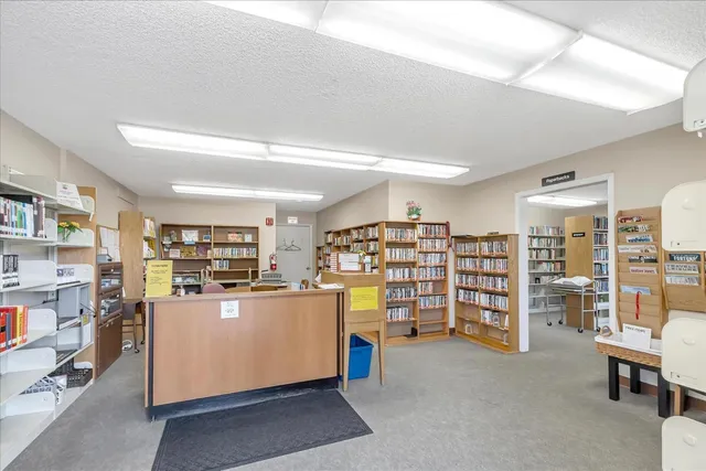 a view of a park with large trees