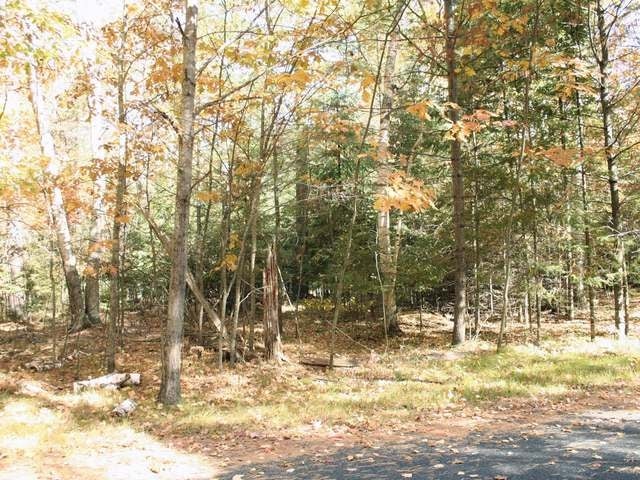 2424 Halberstadt Road St. Germain, WI 54558 - Photo 14 of 15 Gallery Image 14