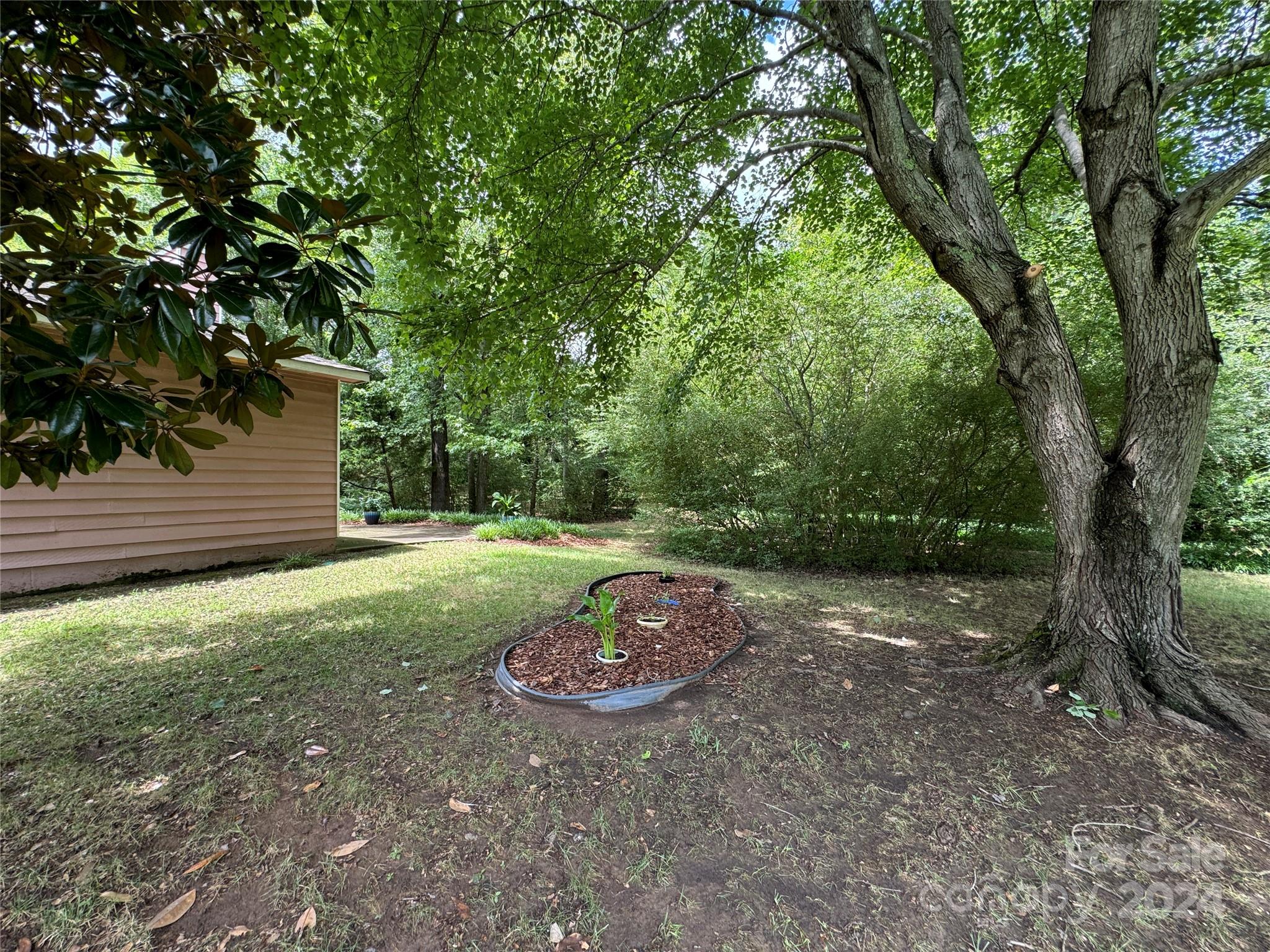 a view of a backyard with trees