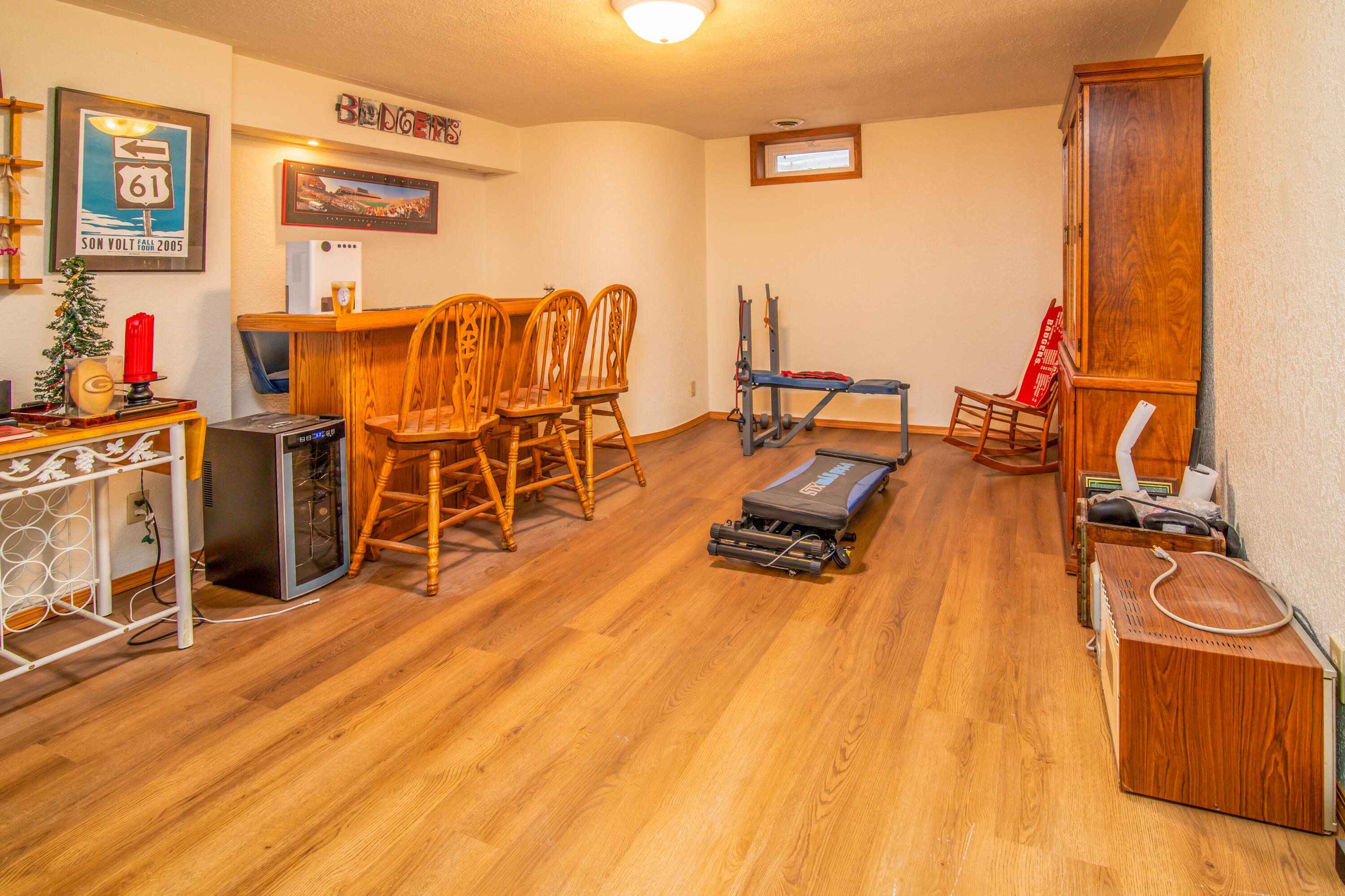 225 Anna Street Waterloo, WI 53594 - Photo 11 of 20 Lower Level Rec room