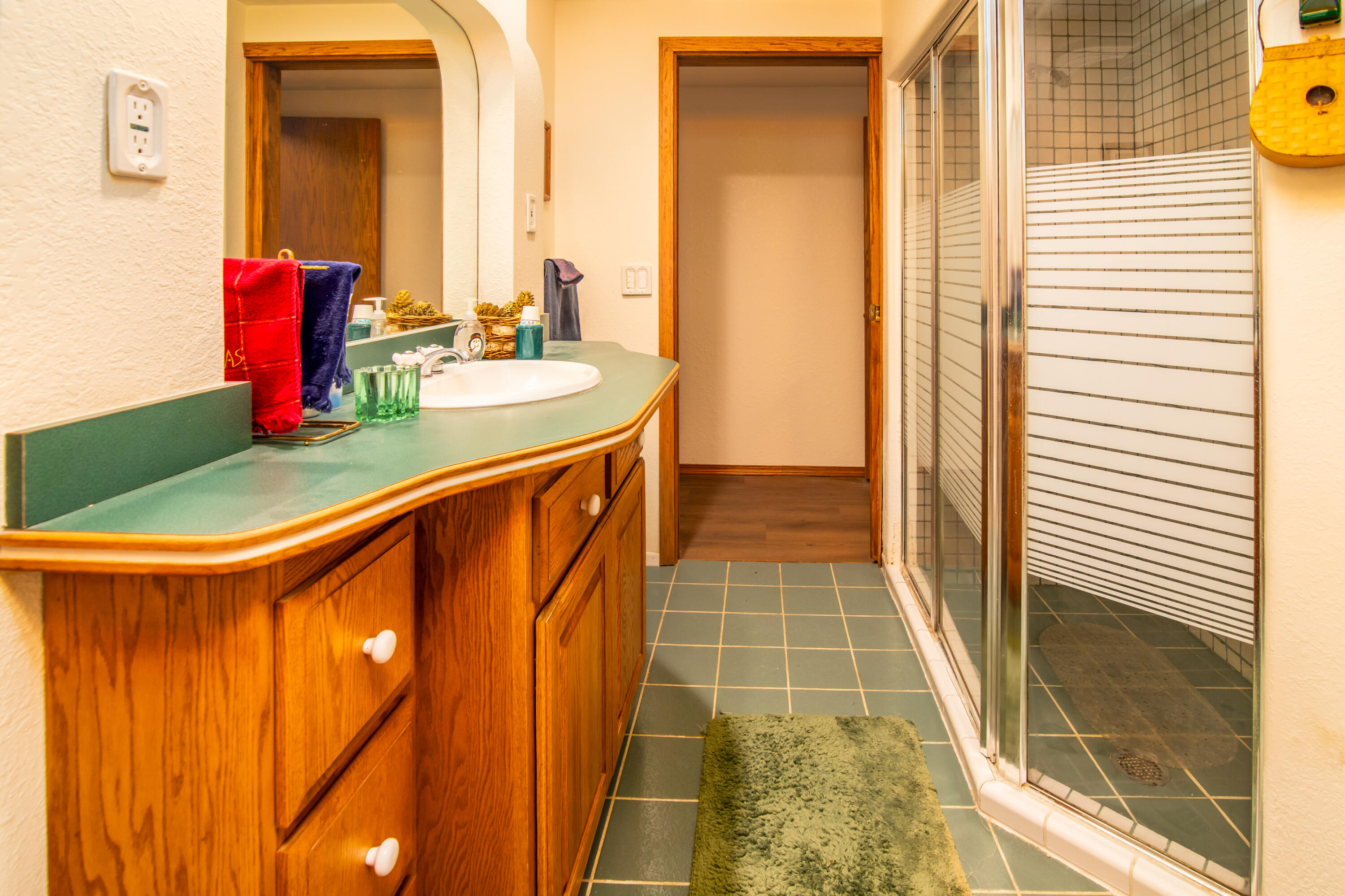 225 Anna Street Waterloo, WI 53594 - Photo 12 of 20 Lower Level Bathroom