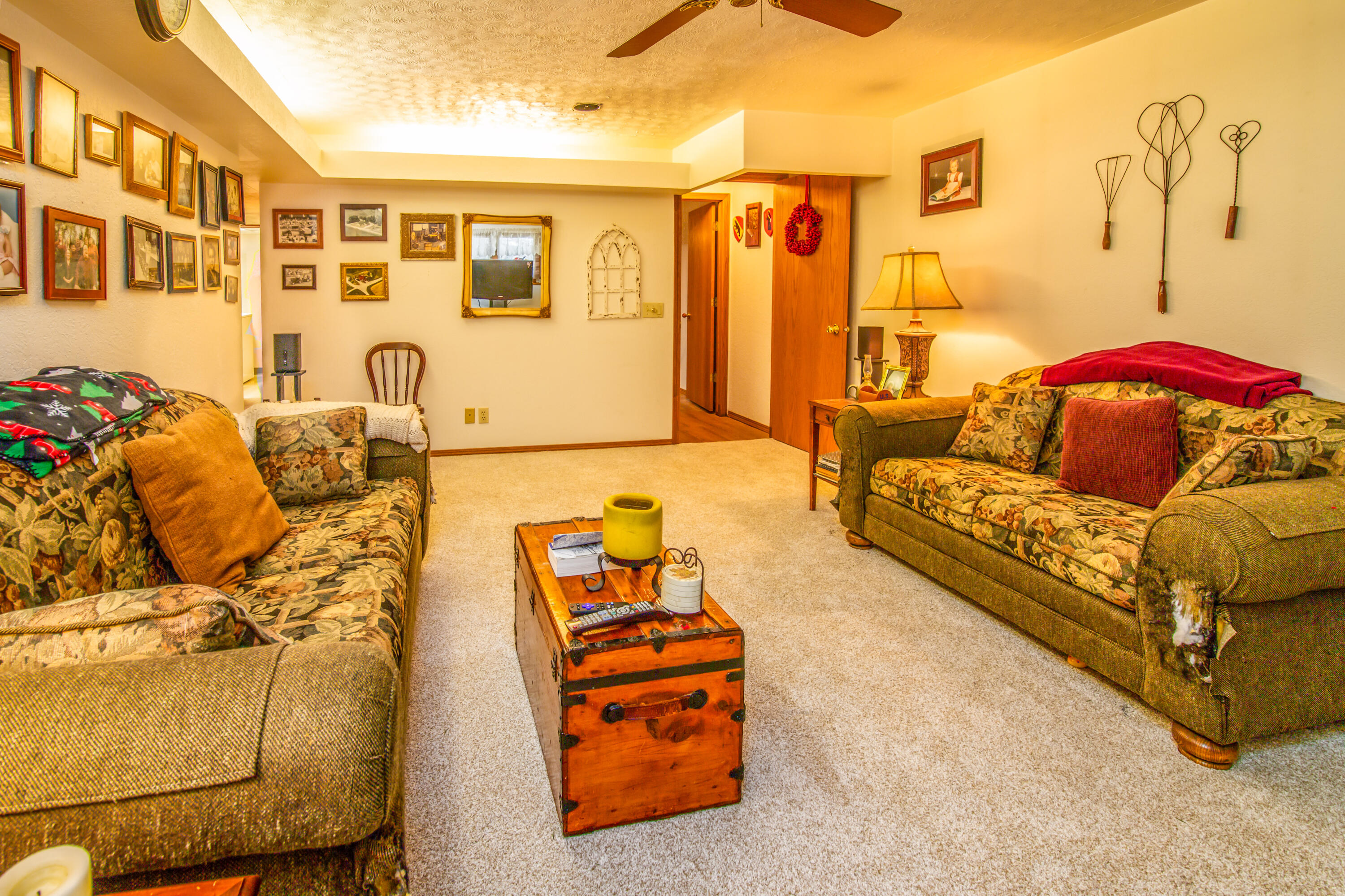 225 Anna Street Waterloo, WI 53594 - Photo 9 of 20 Lower level family room