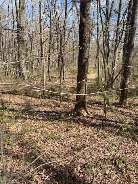 2846 Lees Chapel Road Browns Summit, NC 27214 - Photo 2 of 2 Gallery Image 2