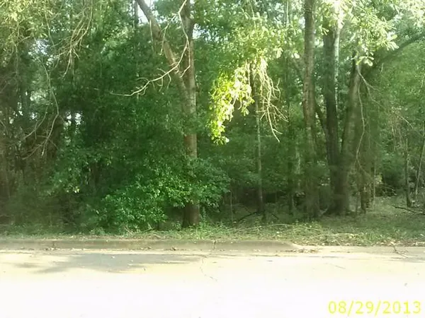 a view of a tree