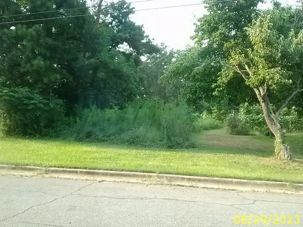 a view of a yard with plants