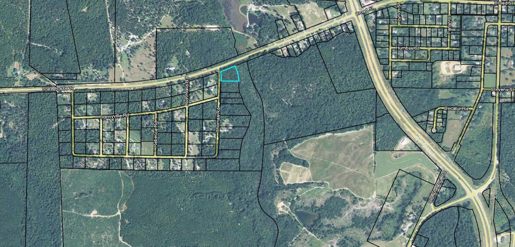 0 Thomas Road Lumpkin, GA 31815 - Photo 4 of 8