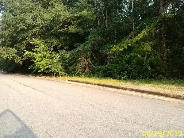 $75,000 | 0 Thomas Road, Lumpkin, GA 31815