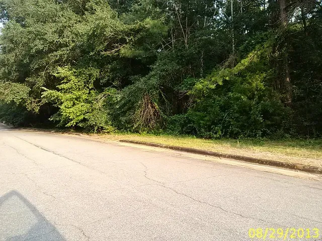 $75,000 | 0 Thomas Road, Lumpkin, GA 31815