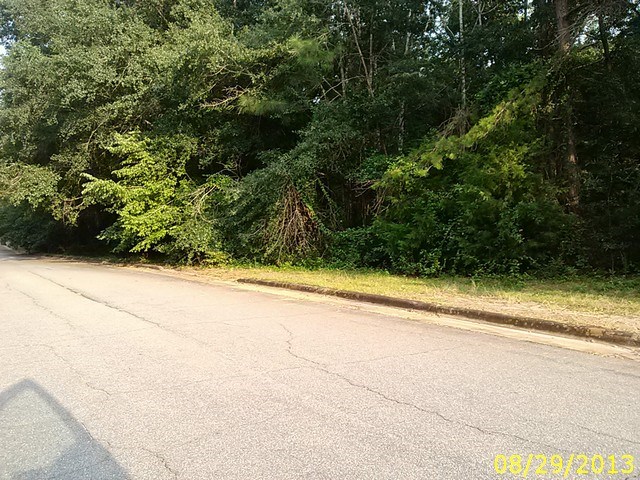 0 Thomas Road Lumpkin, GA 31815 - Photo 5 of 8 a view of a yard with plants