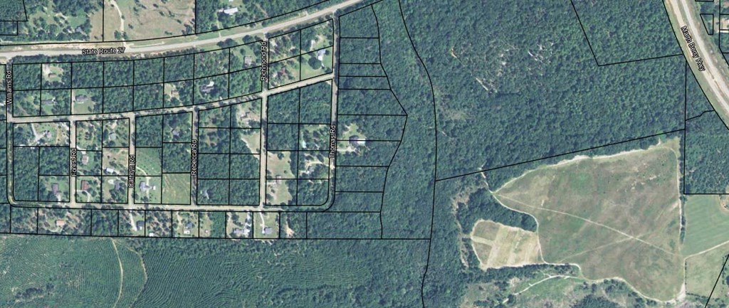 0 Thomas Road Lumpkin, GA 31815 - Photo 6 of 8