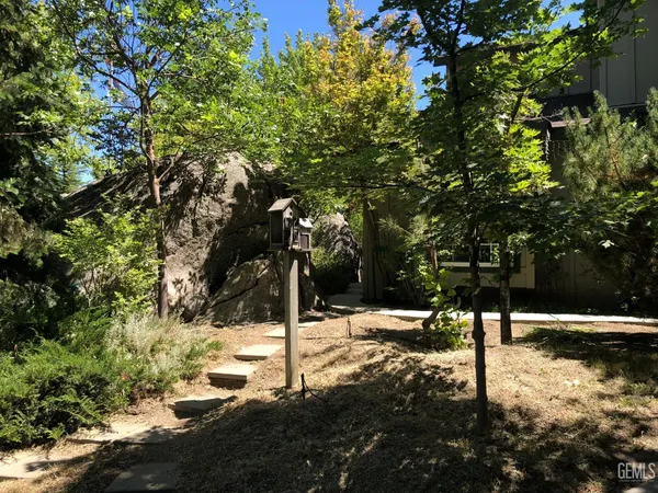 a view of a tree with yard