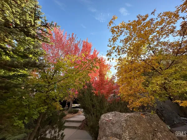 a view of a house with a tree