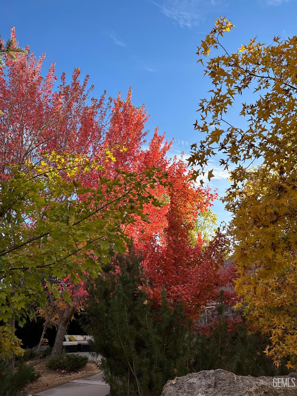 Undisclosed Address Tehachapi, CA 93561 - Photo 29 of 36 a view of a lot of trees