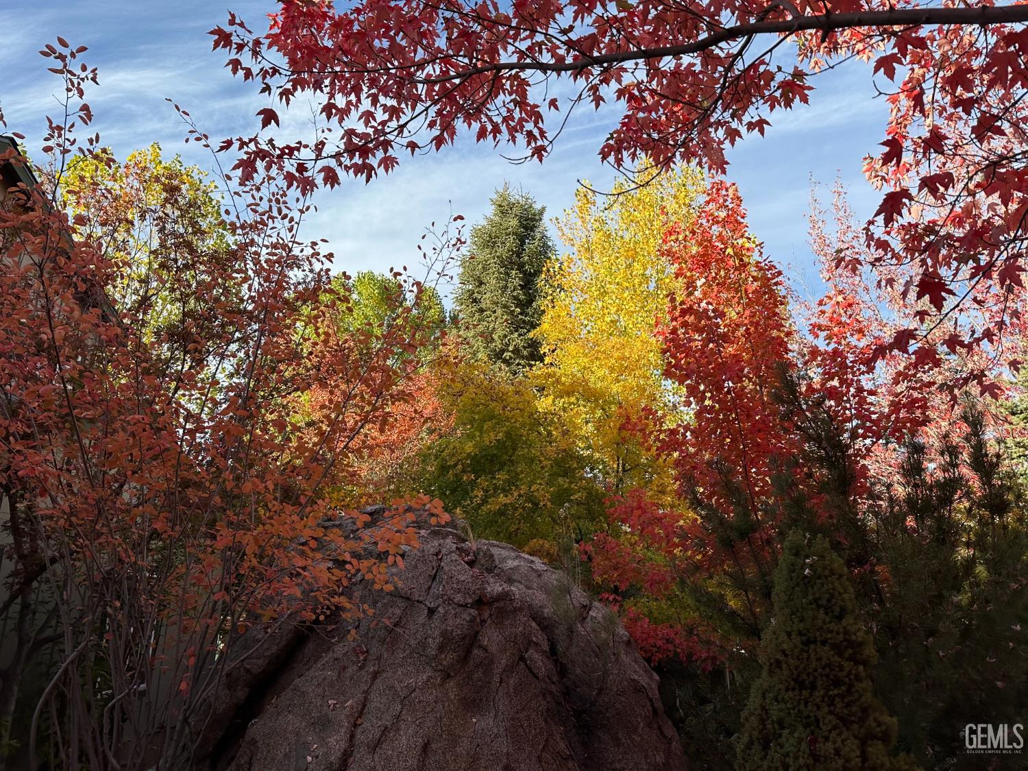 Undisclosed Address Tehachapi, CA 93561 - Photo 30 of 36 a view of a tree in a yard