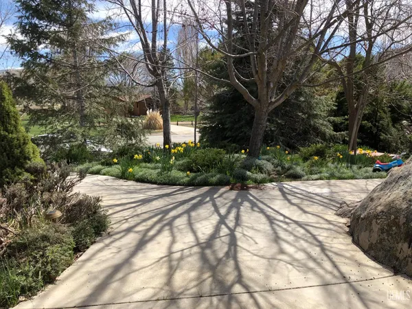 a view of a backyard of the house