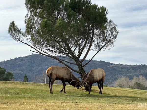 $575,500 | Undisclosed Address, Tehachapi, CA 93561