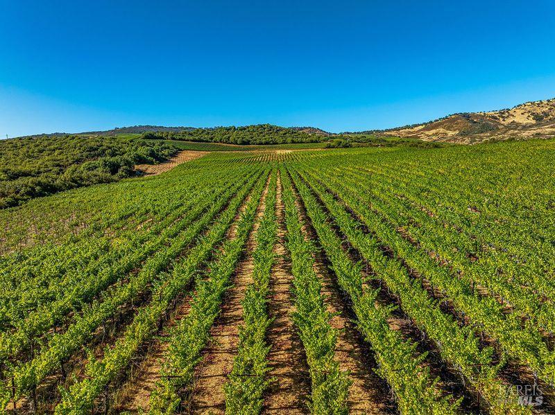 3585 Soda Canyon Road Napa, CA 94558 - Photo 3 of 3 a view of an ocean