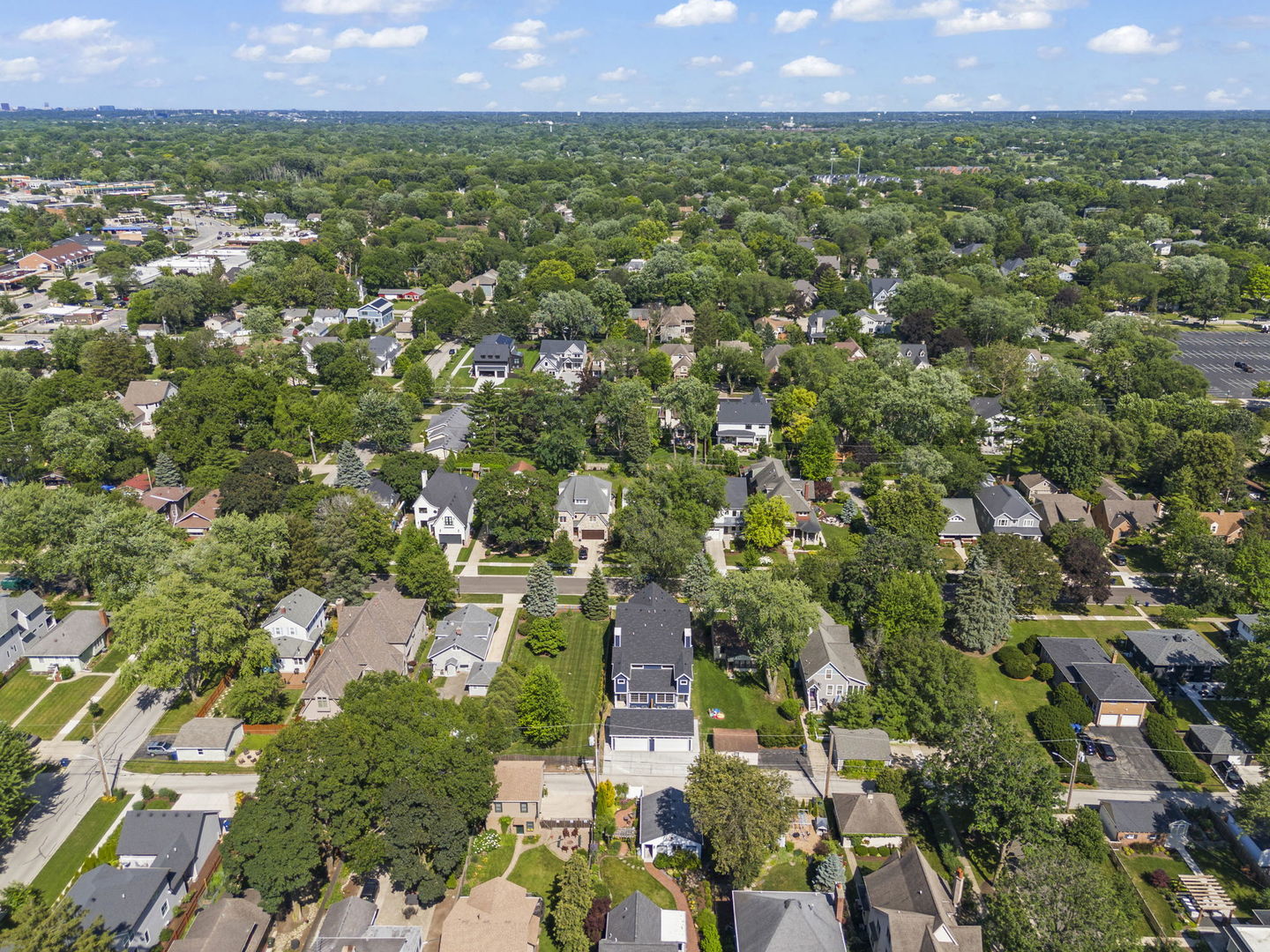 717 North Brainard Street Naperville, IL 60563 - Photo 47 of 49 an aerial view of residential house with outdoor space and trees all around