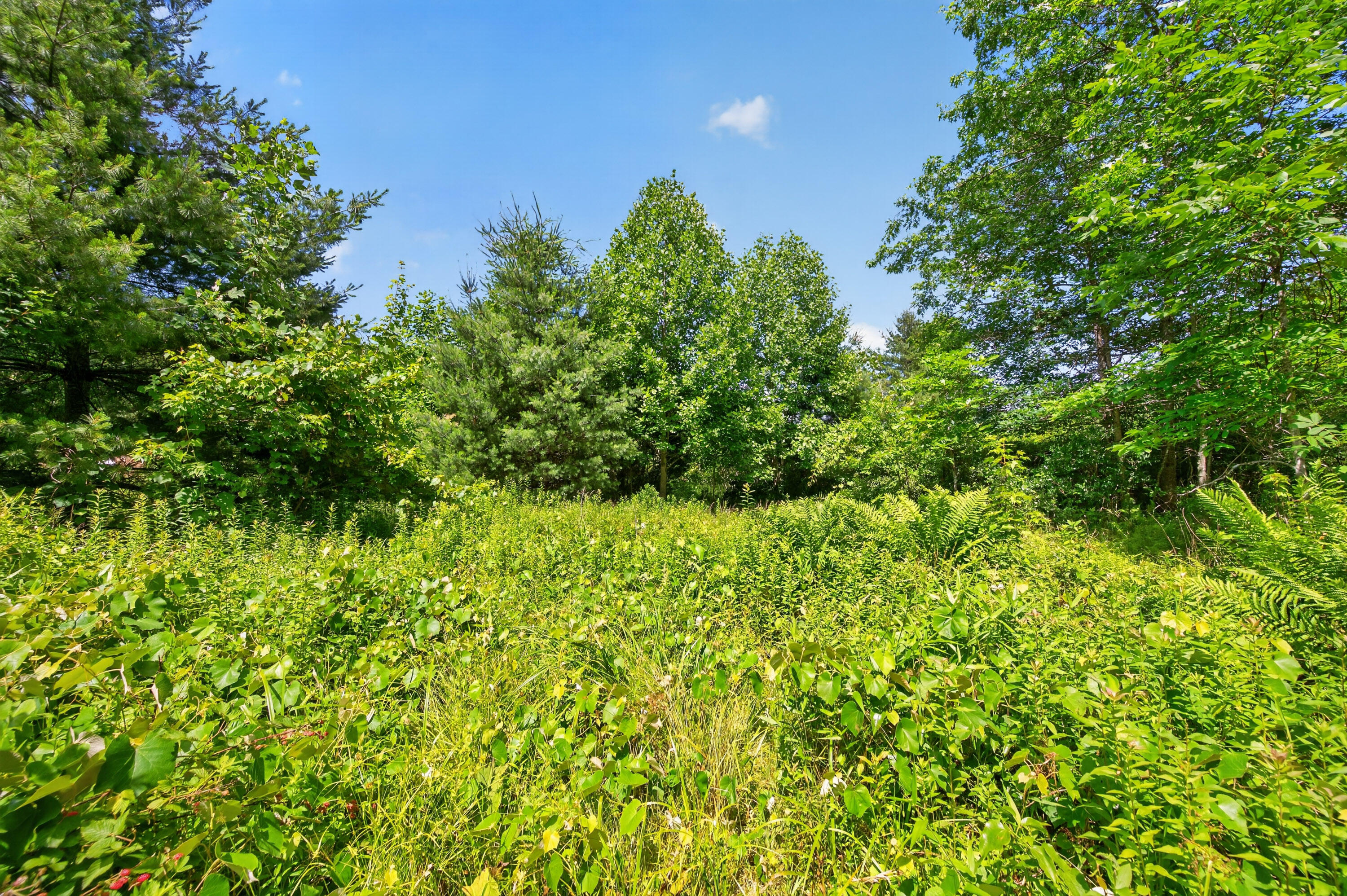 6196 Chances Creek Road Fancy Gap, VA 24328 - Photo 46 of 78 47
