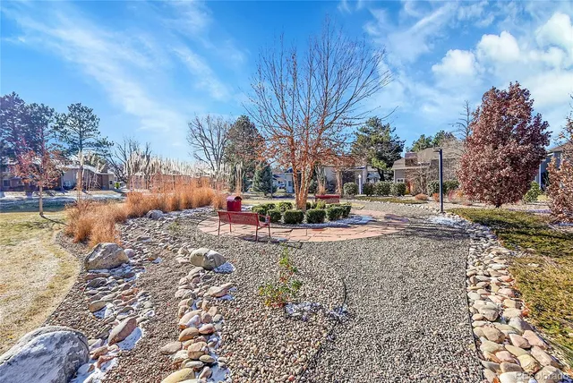 a view of road with large trees