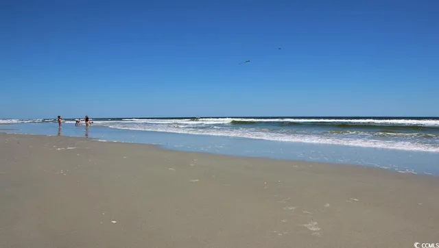 $459,995 | 225 Blueberry Fields, Loris, SC 29569