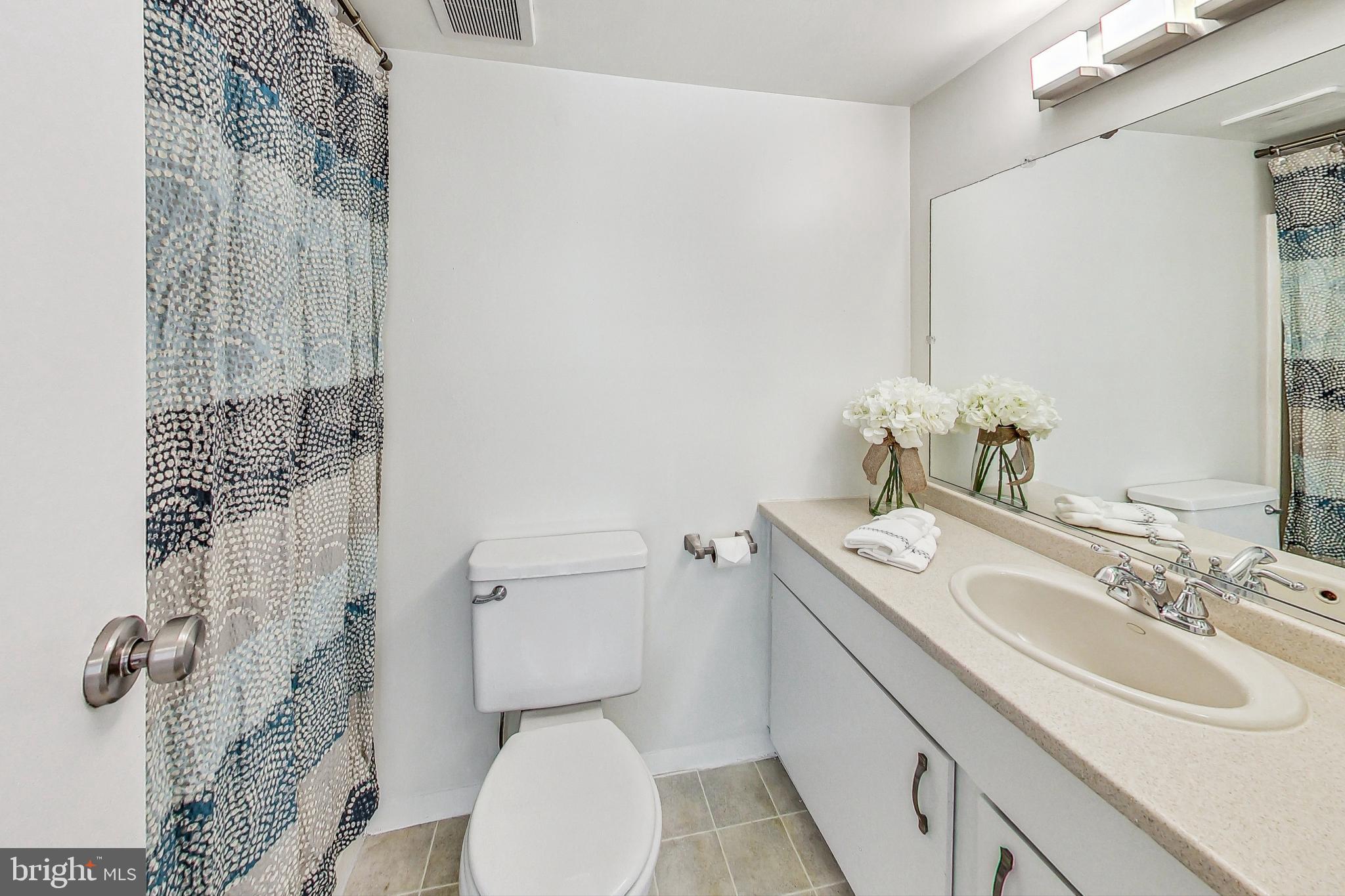 2120 Green Watch Way, Unit 201 Reston, VA 20191 - Photo 16 of 51 Primary Bathroom