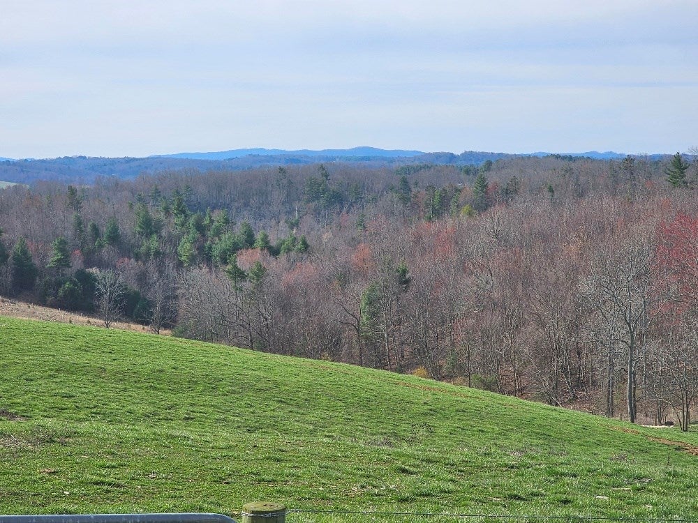 1750 Ridge Road Austinville, VA 24312 - Photo 42 of 53 Gallery Image 42
